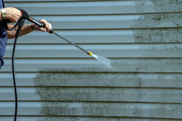 Best Sidewalk and Walkway Cleaning  in Woodburn, OR